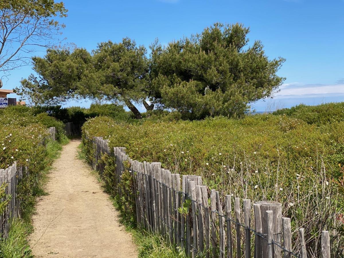 Appartement Dolce Farniente Belgodère Eksteriør bilde