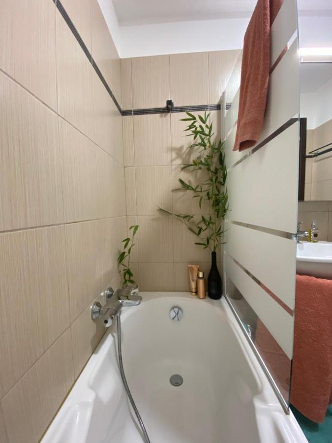 Appartement Dolce Farniente Belgodère Eksteriør bilde